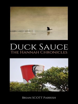 cover image of Duck Sauce